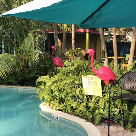 Calypso Inn Wilton Gay Male Resort Wilton Manors Exterior foto