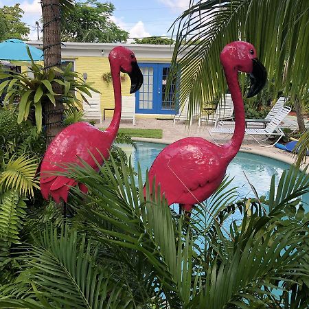 Calypso Inn Wilton Gay Male Resort Wilton Manors Exterior foto