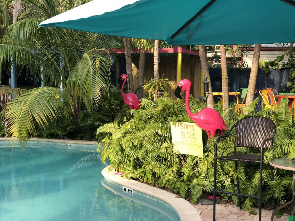 Calypso Inn Wilton Gay Male Resort Wilton Manors Exterior foto