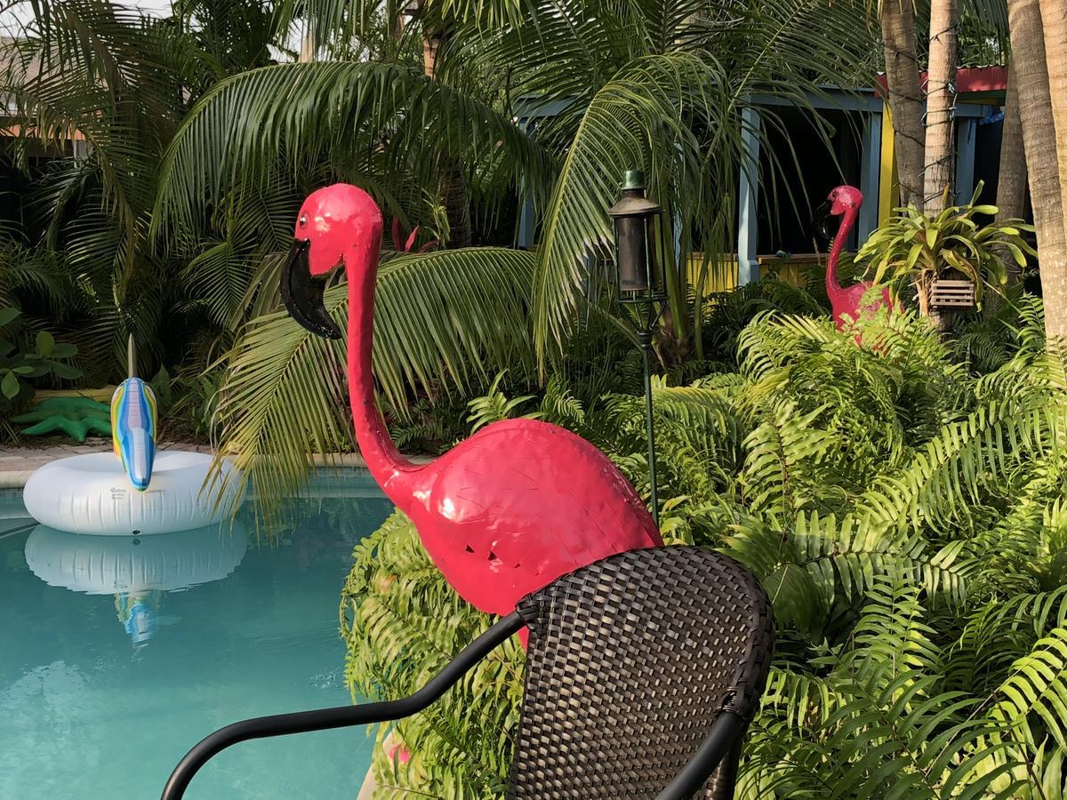 Calypso Inn Wilton Gay Male Resort Wilton Manors Exterior foto