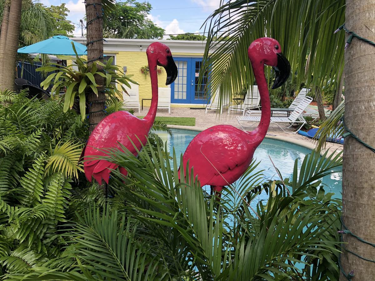 Calypso Inn Wilton Gay Male Resort Wilton Manors Exterior foto